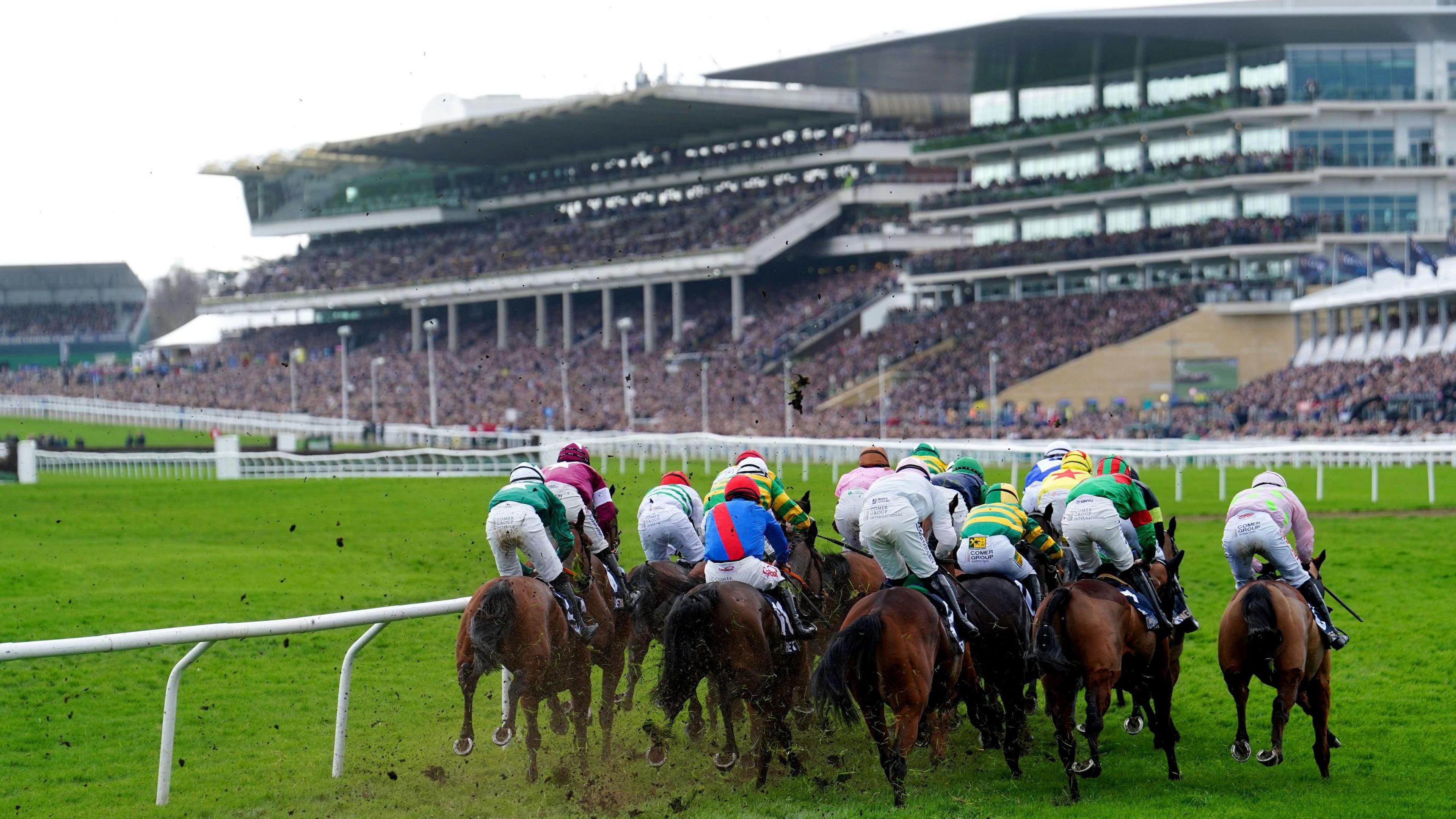 Cheltenham Festival 2025: A Punters Pre-Festival Guide